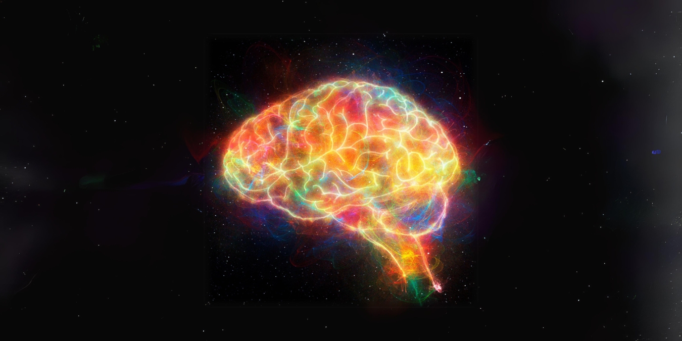 rewire brain