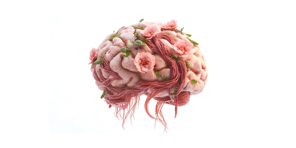 Loving Mindset Power of Perspective Personal Growth Best Mindset for Success How to Flourish