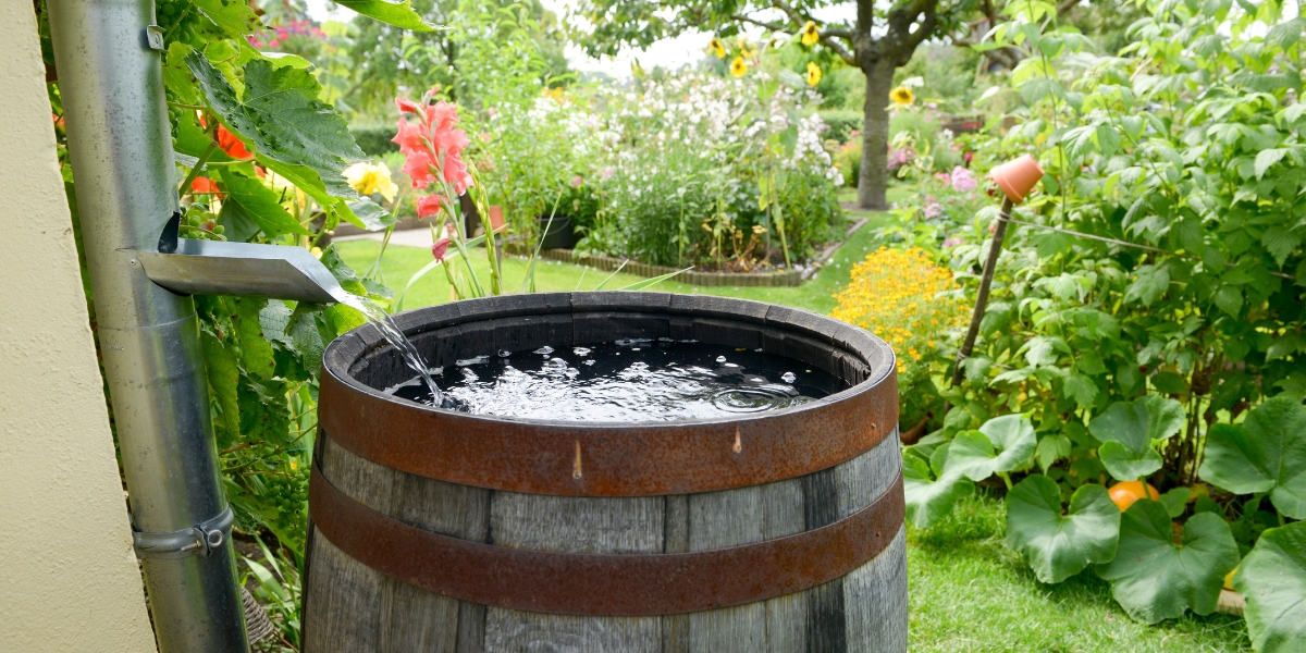 ketamine therapy the rain barrel effect